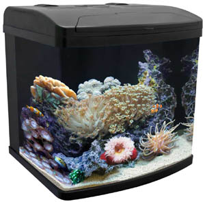 Nanopod 12G